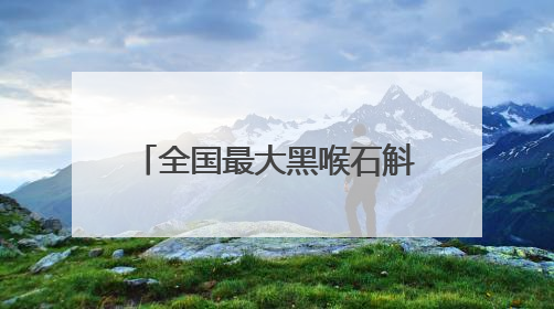 全国最大黑喉石斛种植区再添新景 金色花海扮靓龙陵